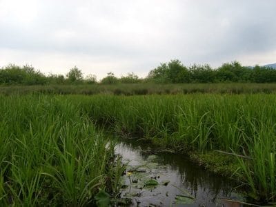 Zapovednik Ispani