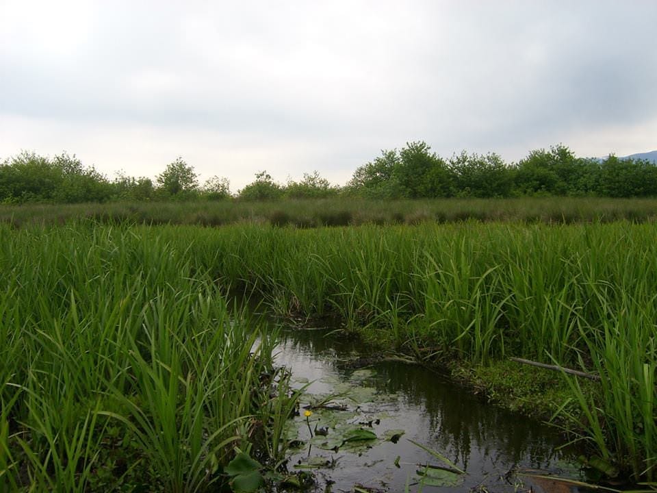 Zapovednik Ispani