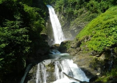 gurgeniani
