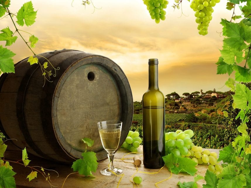 Vino Gurdzhaani