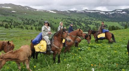 конная экскурсия в Грузию