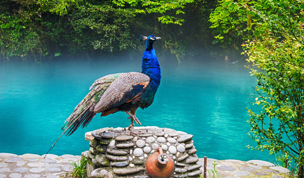 Голубое озеро - «драгоценность» Абхазии*