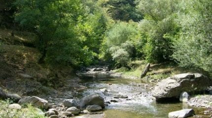 reka Algeti