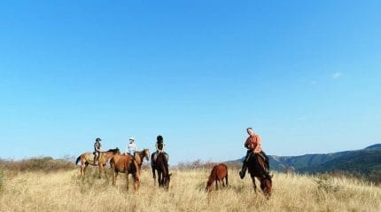 Прогулки на лошадях рядом с Тбилиси