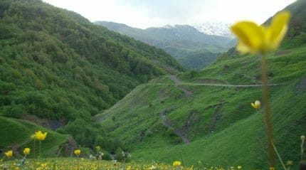Перевал Медвежий Крест - один из самых красивых в Грузии