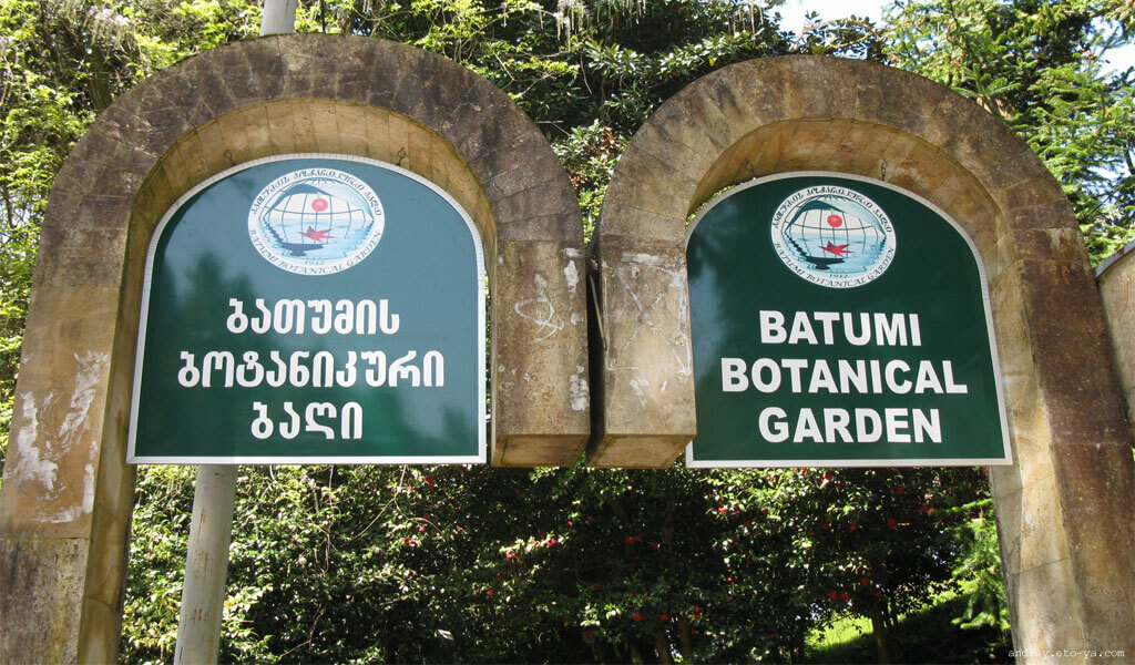 Ботанический сад Батуми - райский уголок для любителей природы