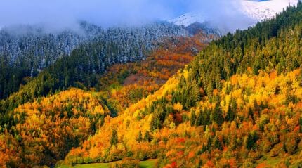 осень в грузии