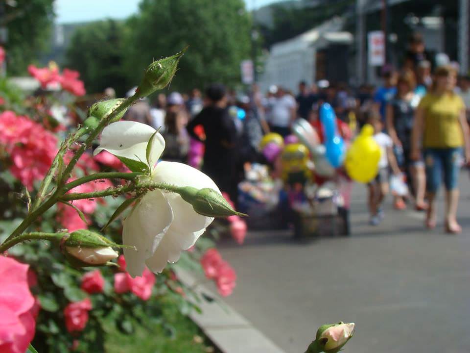 Майские праздники в Грузии