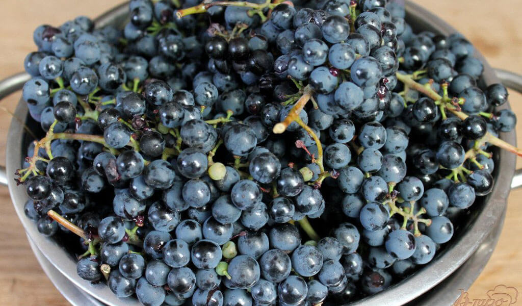 Чача из винограда в домашних условиях – лучшие и простые грузинские рецепты