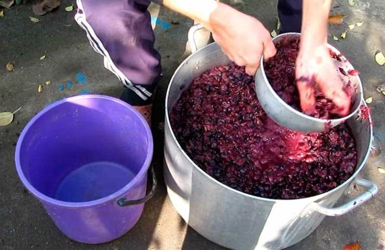 Чача из винограда в домашних условиях - грузинский рецепт