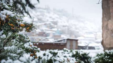 Тбилиси в снегу. Февраль 2021